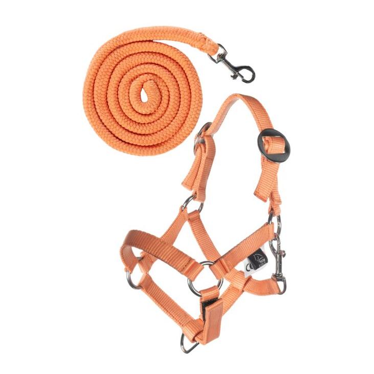HKM Halfter und Strick -Hobby Horsing Basic