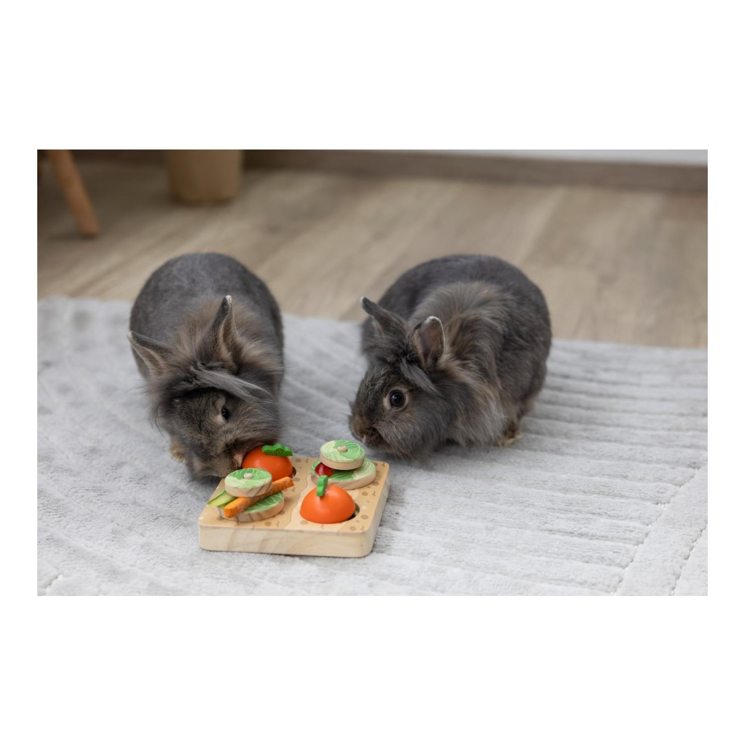 Kerbl Pet Denk- und Lernspielzeug Veggie für Kaninchen