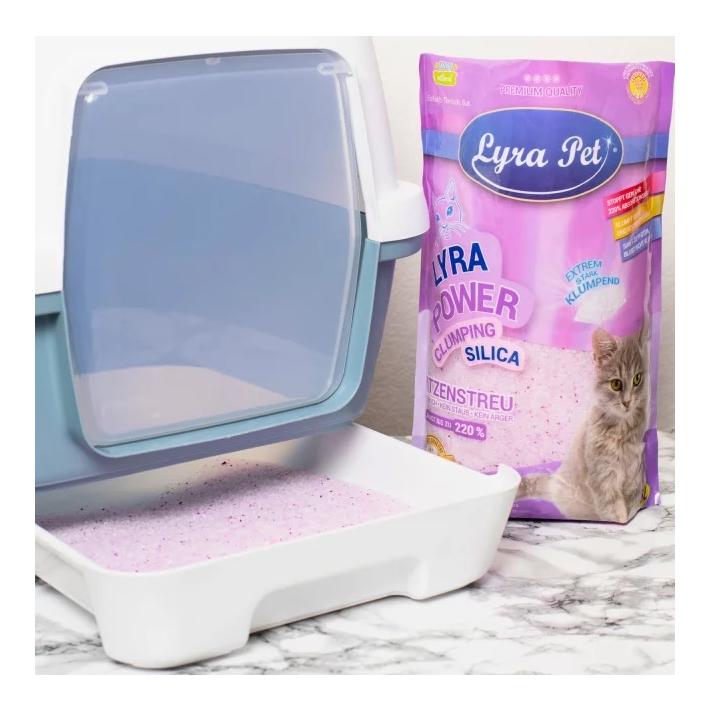 Lyra Pet Lyra Power Silica Silikat klumpend Katzenstreu
