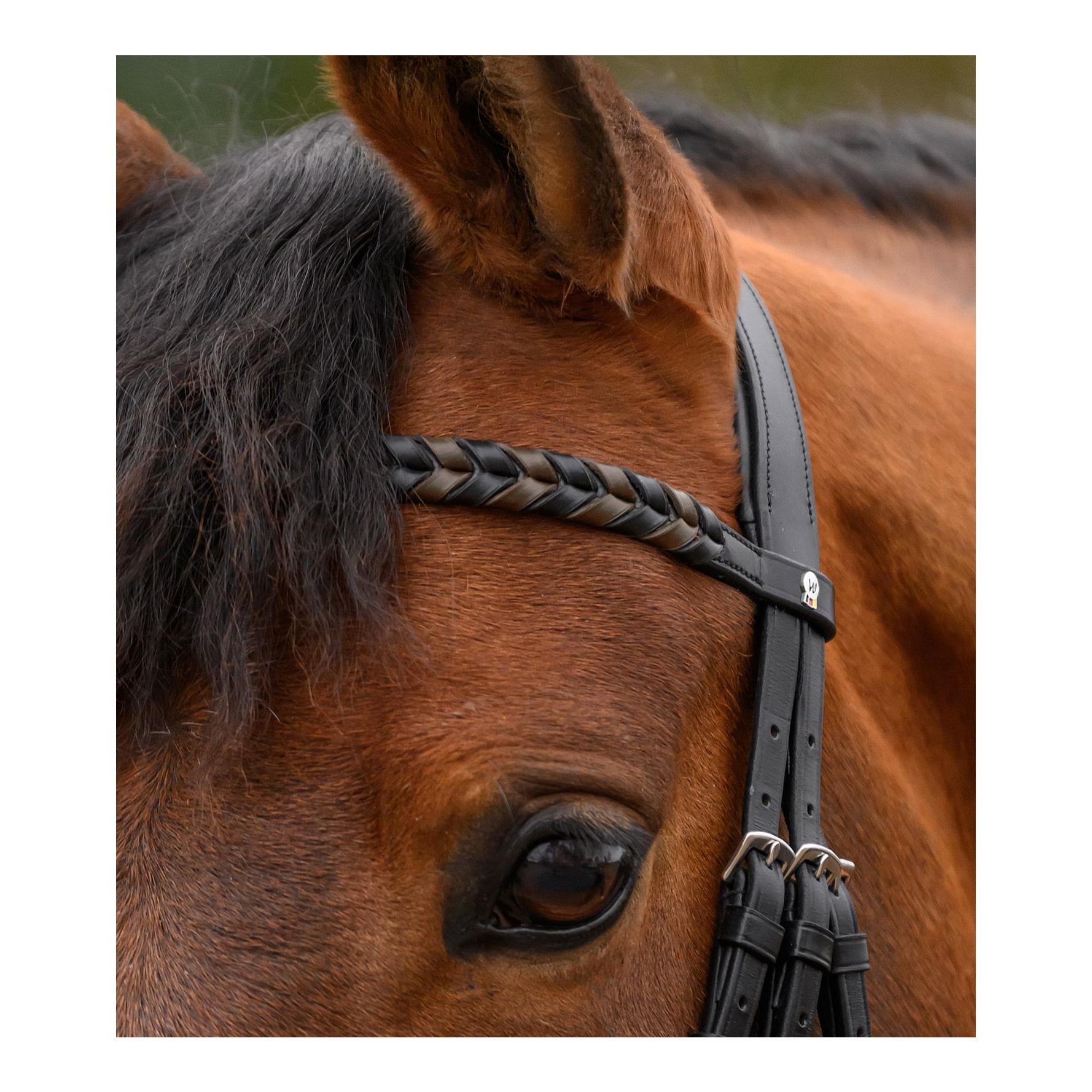 Waldhausen Stirnband Braided X-Line
