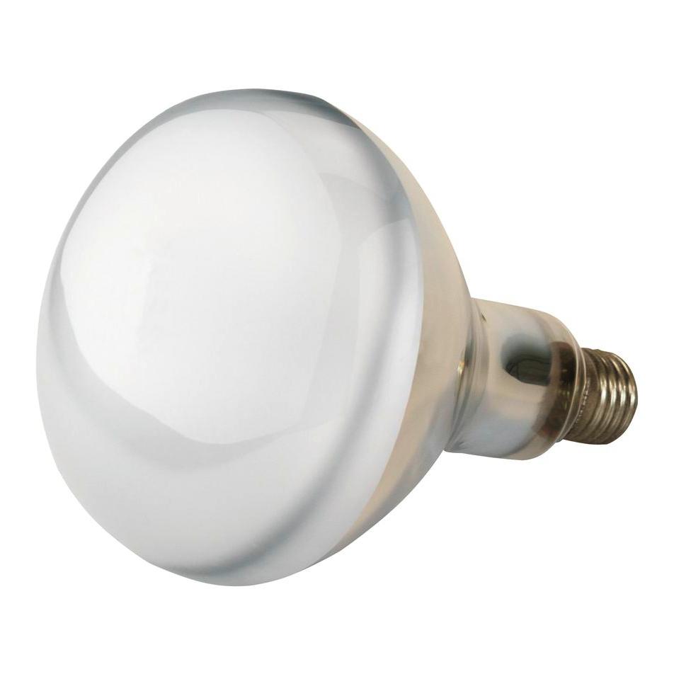 Kerbl Hobbyfarming Lampe infrarouge en verre trempé transparent E27
