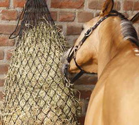 Hauptner-Pferd-KAT-Heunetze