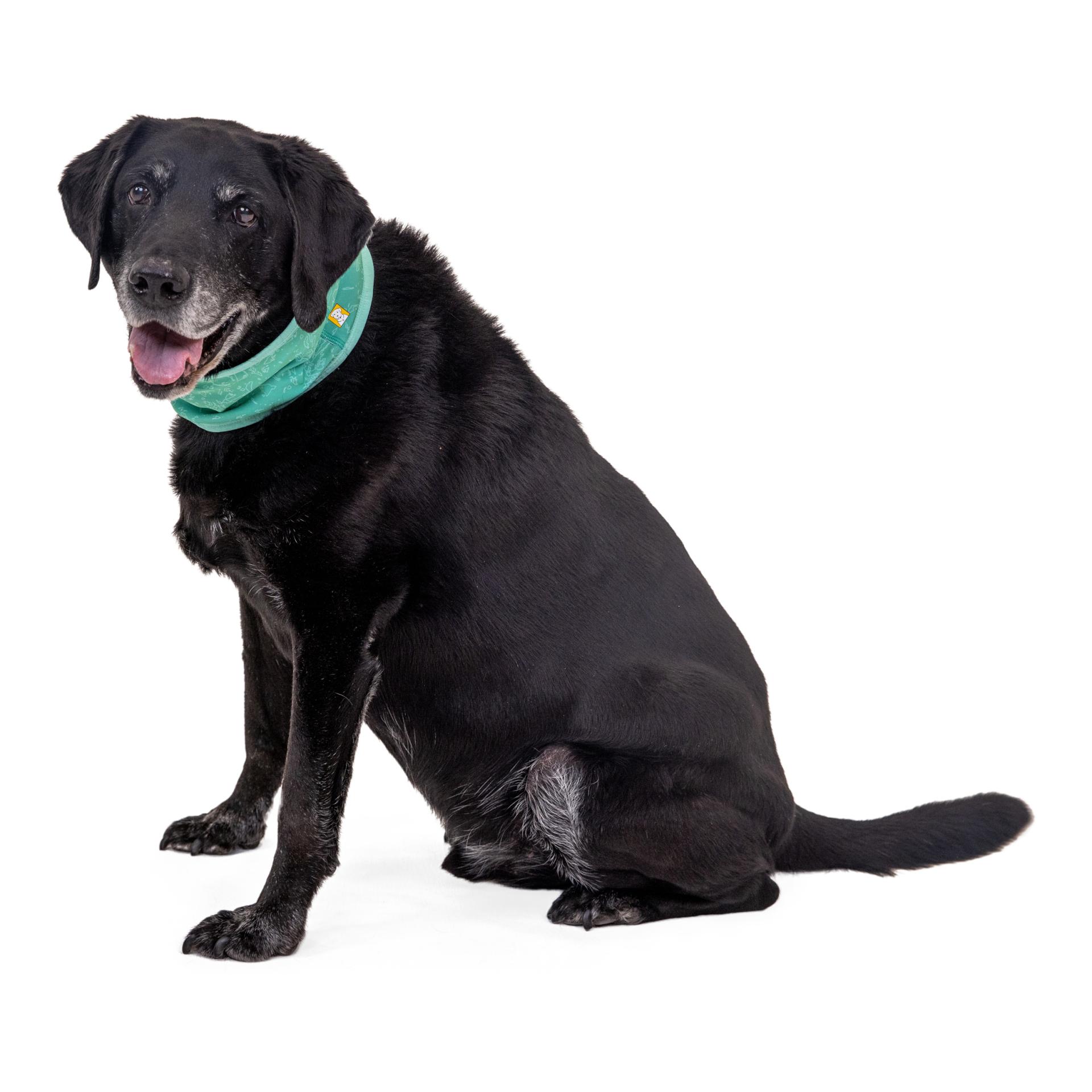 Ruffwear Swamp Cooler™ Halstuch