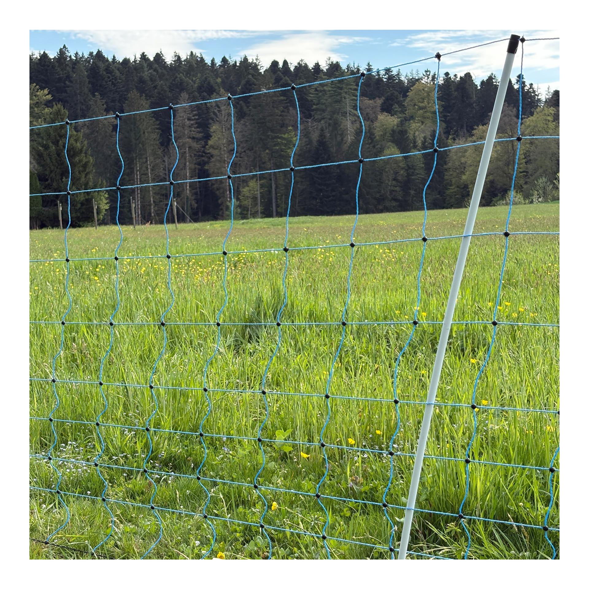 Euro Netz Weidenetz Flexinet Wild - Einzelspitz