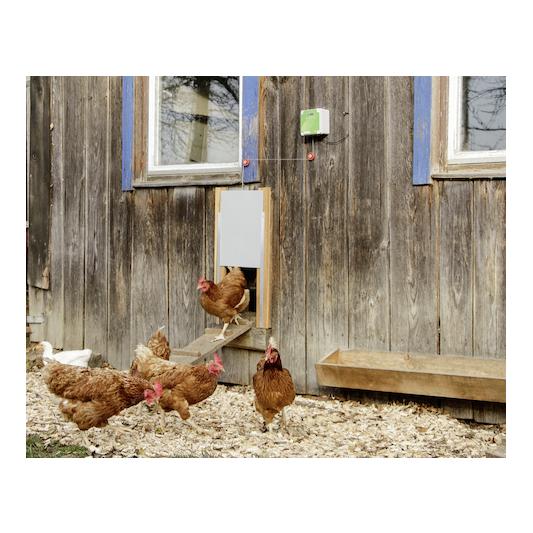 Kerbl Hobbyfarming Porte pour poules avec porte coulissante 220 x 330 mm