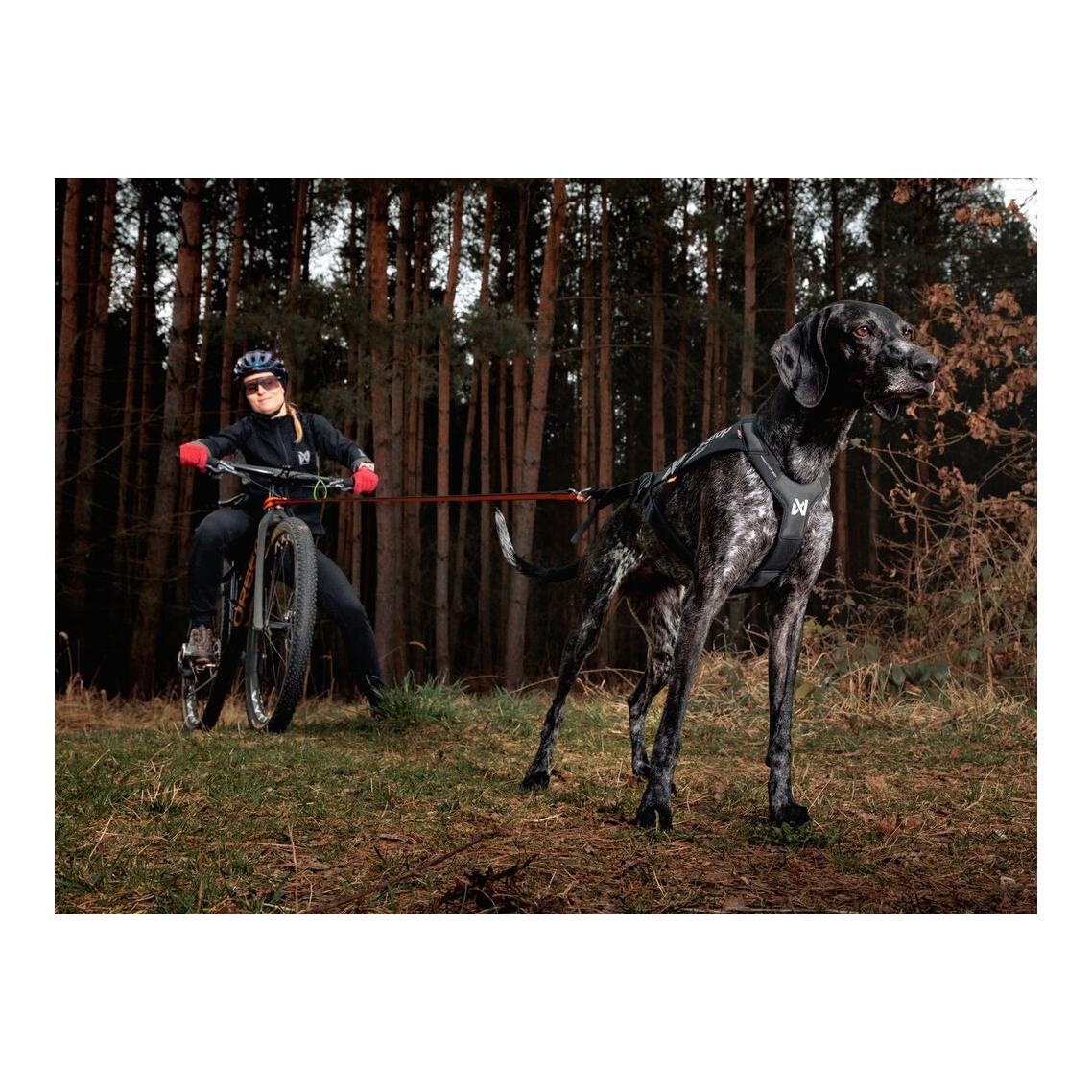 Non-stop Dogwear Hundegeschirr Freemotion harness pro