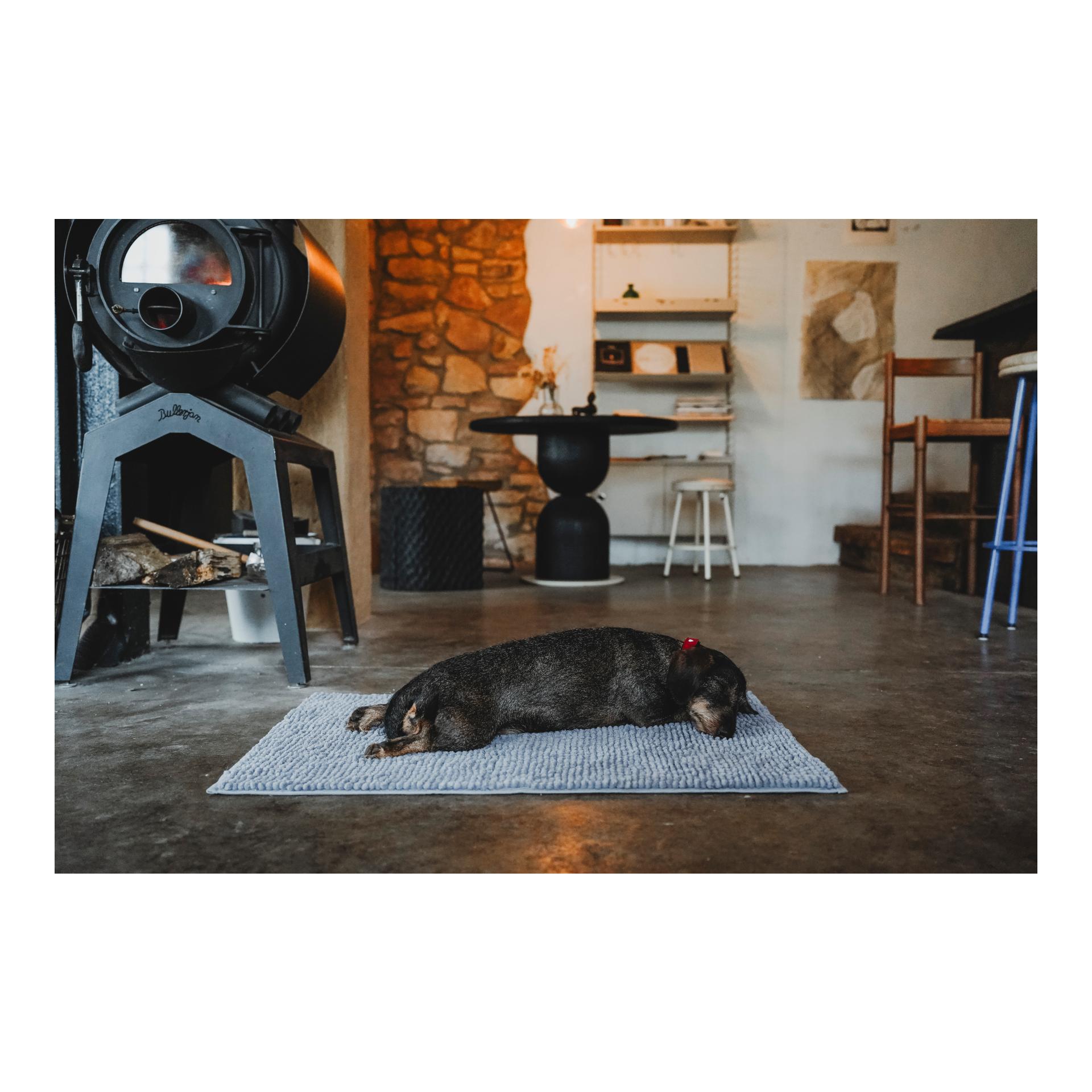 Hunter Tapis anti-salissures pour chiens Waterloo