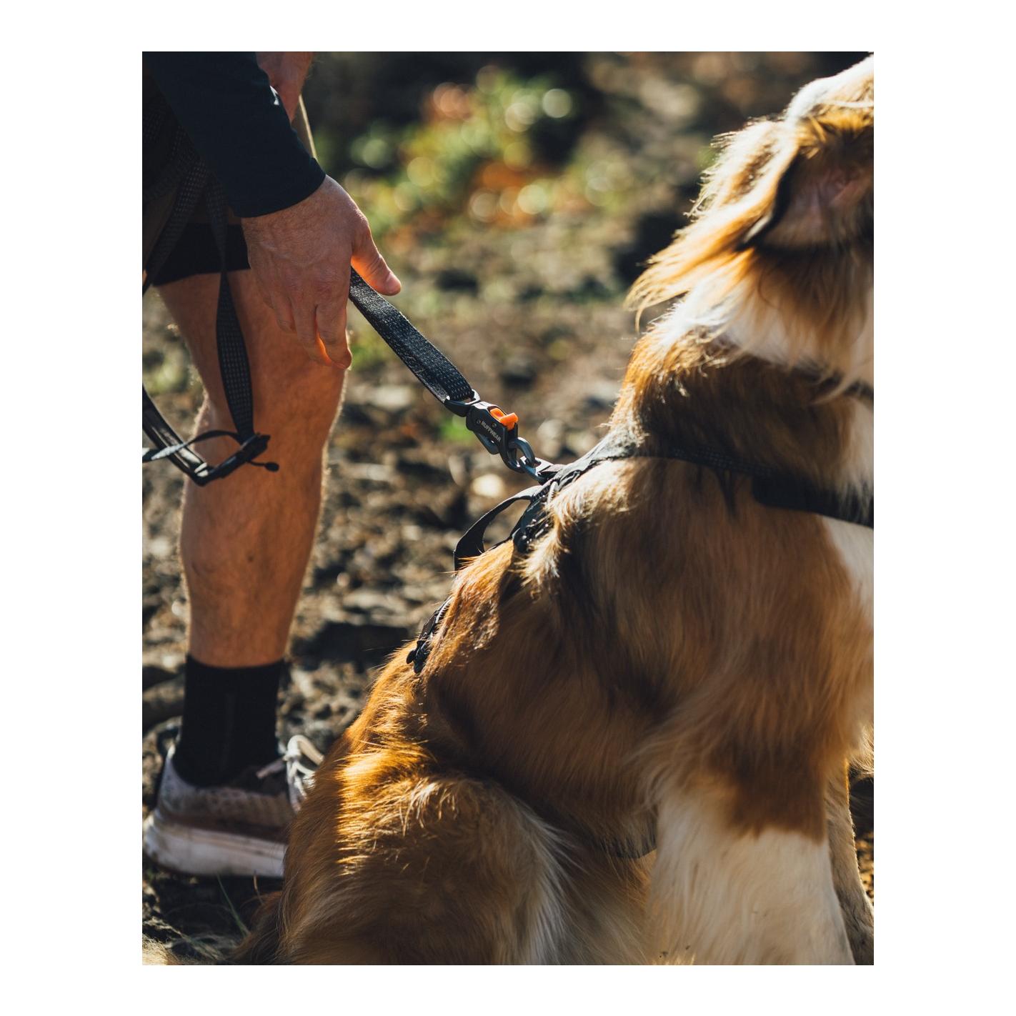Ruffwear Ridgeline™ Harnais pour chien