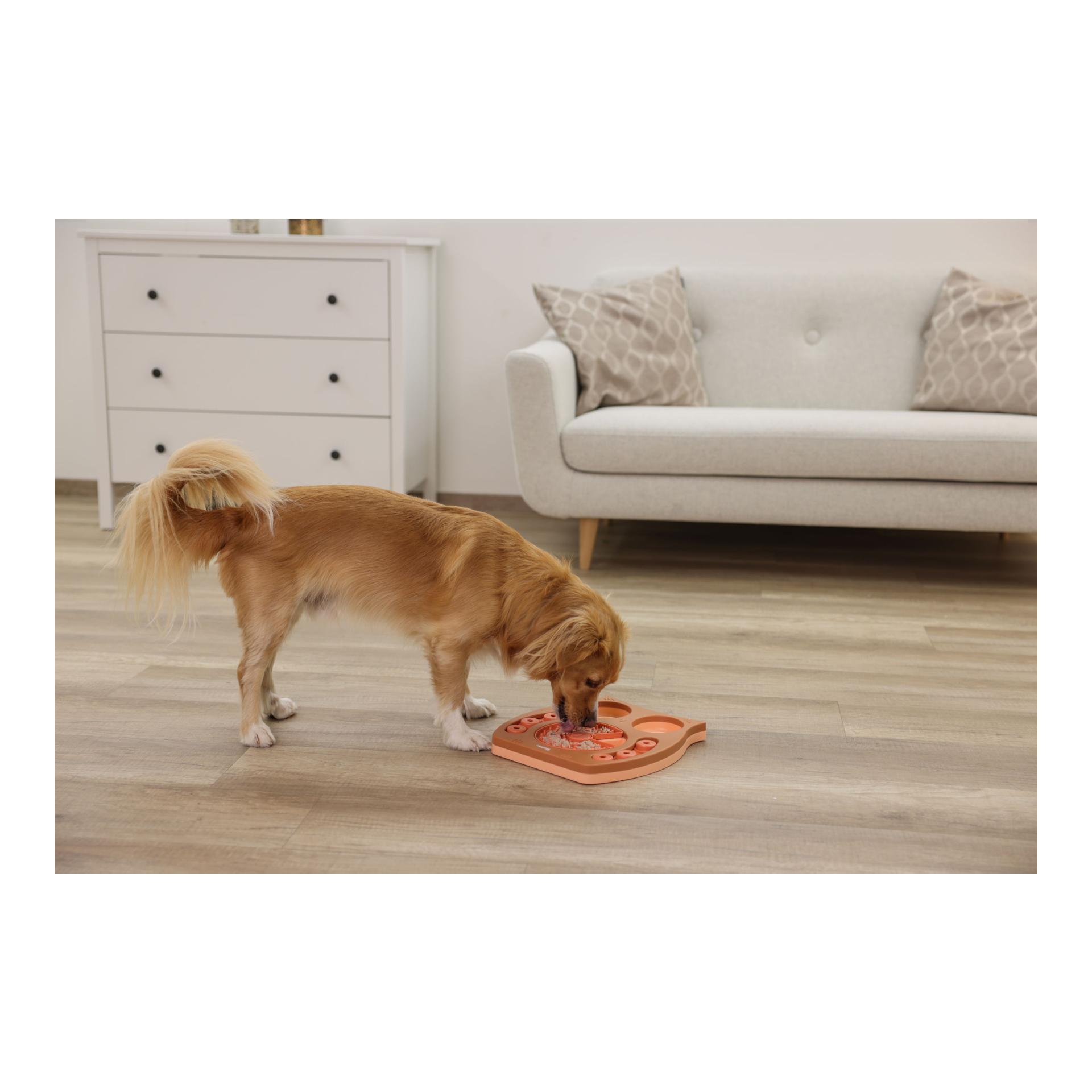 Kerbl Pet Jouets éducatifs et stimulants Owl