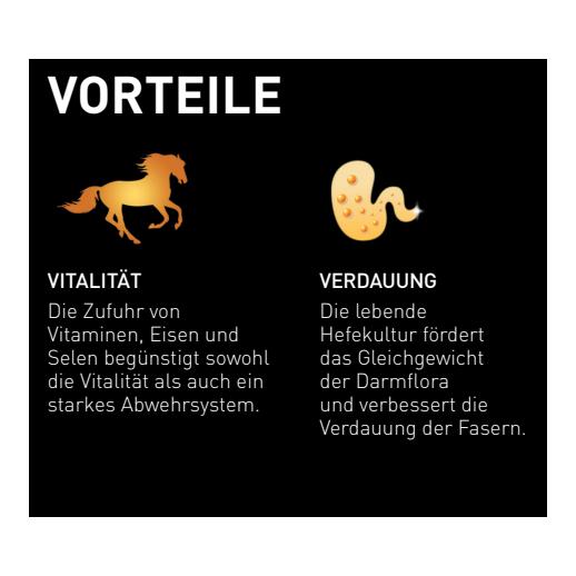 granovit Horse Pure Care - Getreidefreies Pferdefutter in Würfeln