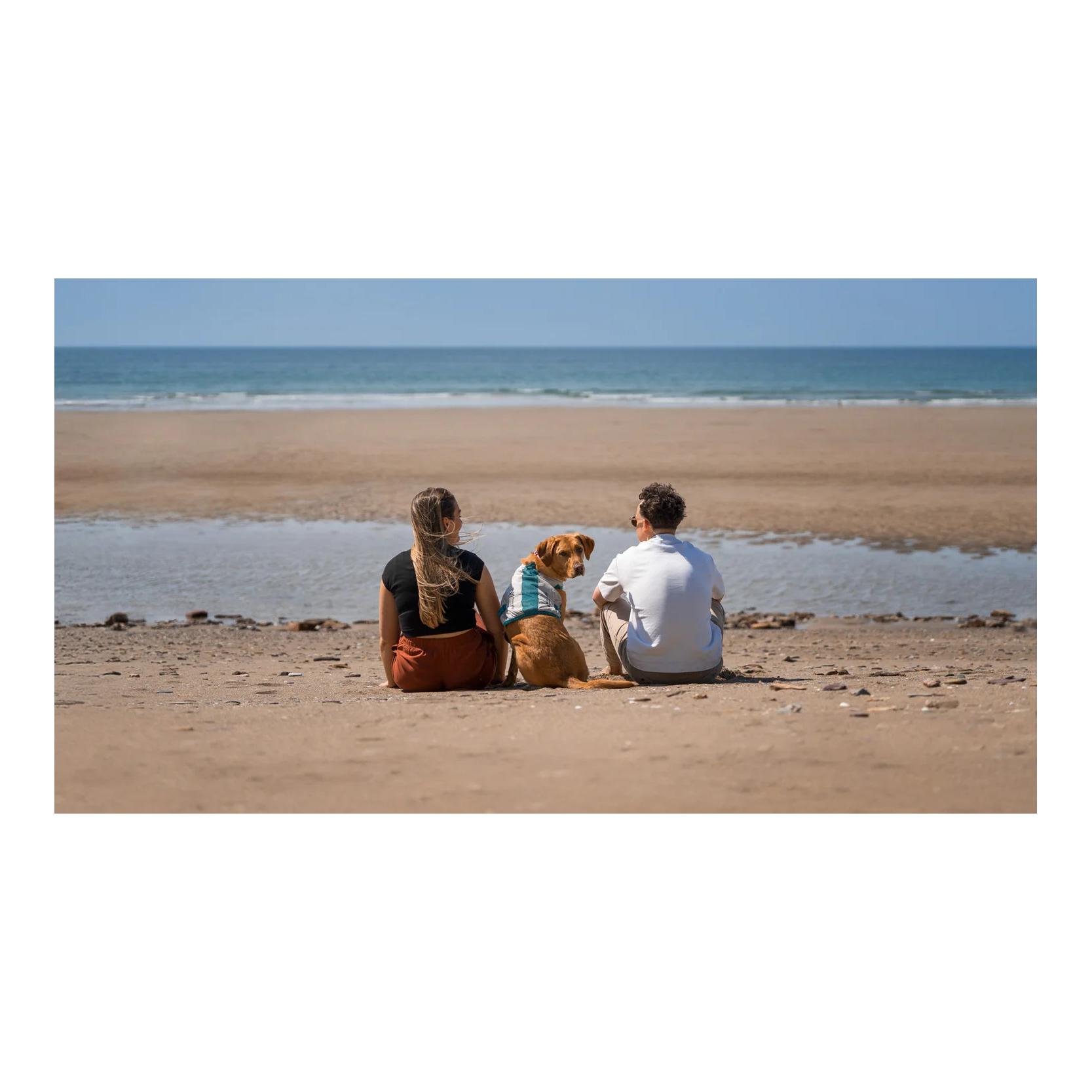 Non-stop Dogwear Kühlweste für Hunde