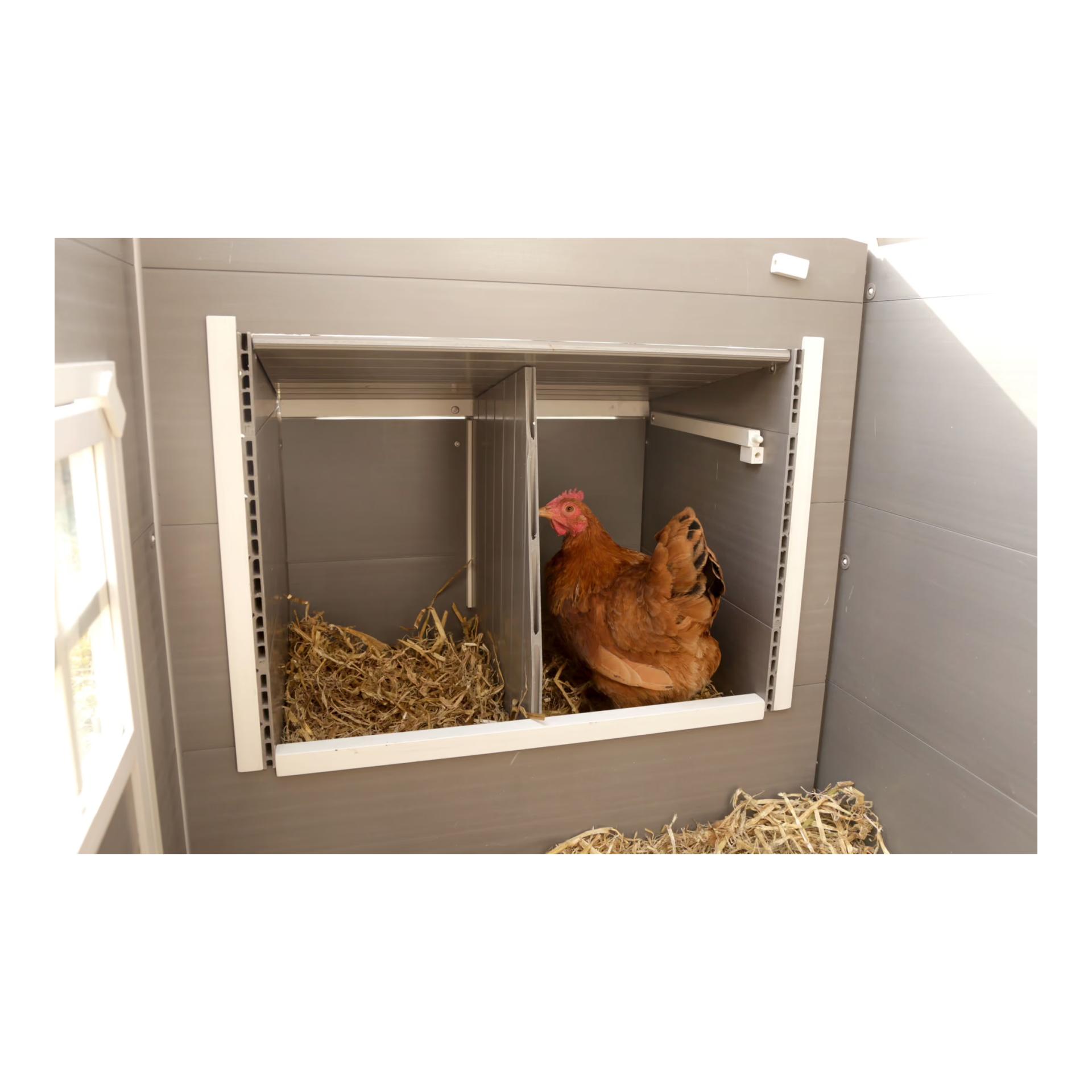 Kerbl Hobbyfarming Étable en plastique ECO Barney