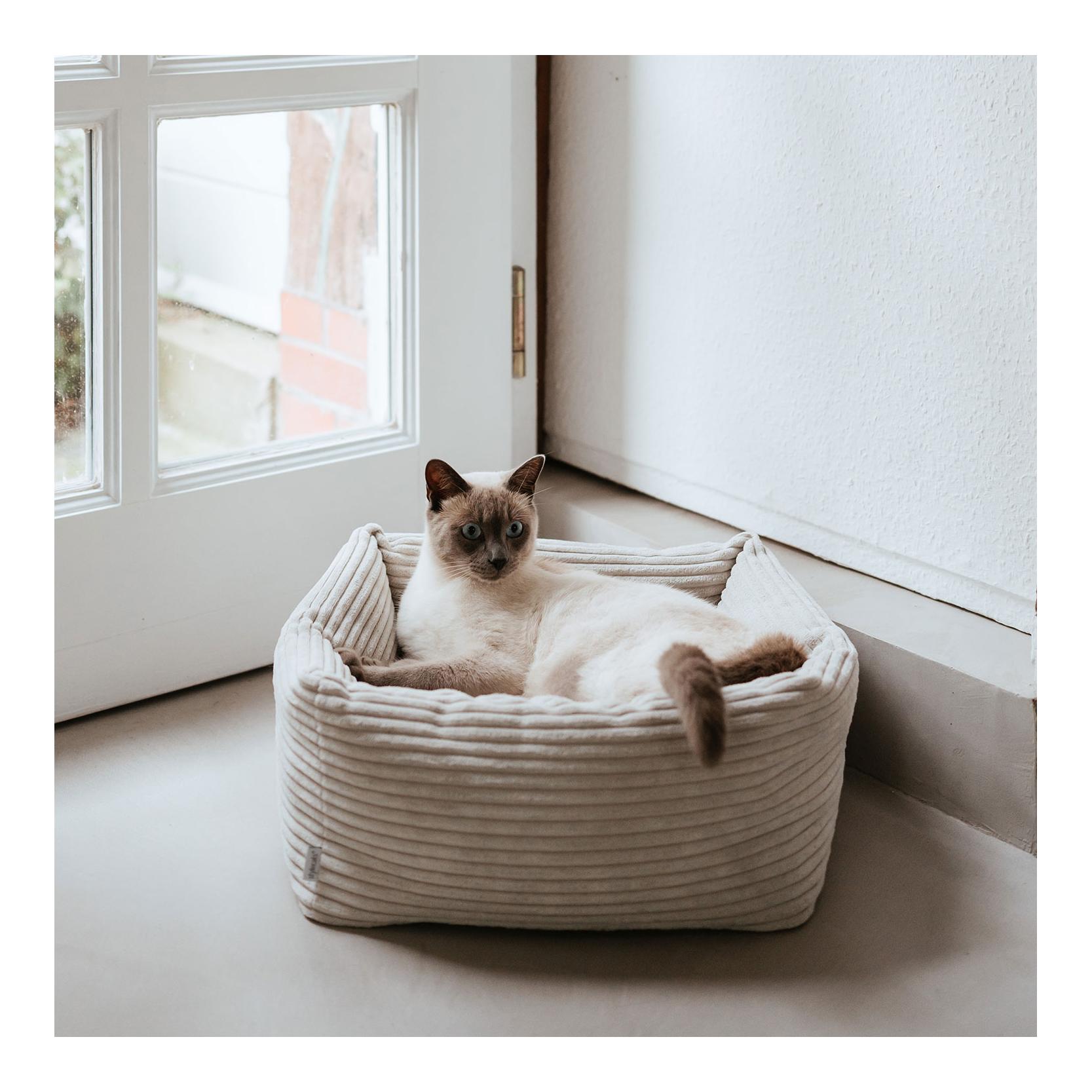 Stylecats by Hunter Katzenbett Rimini