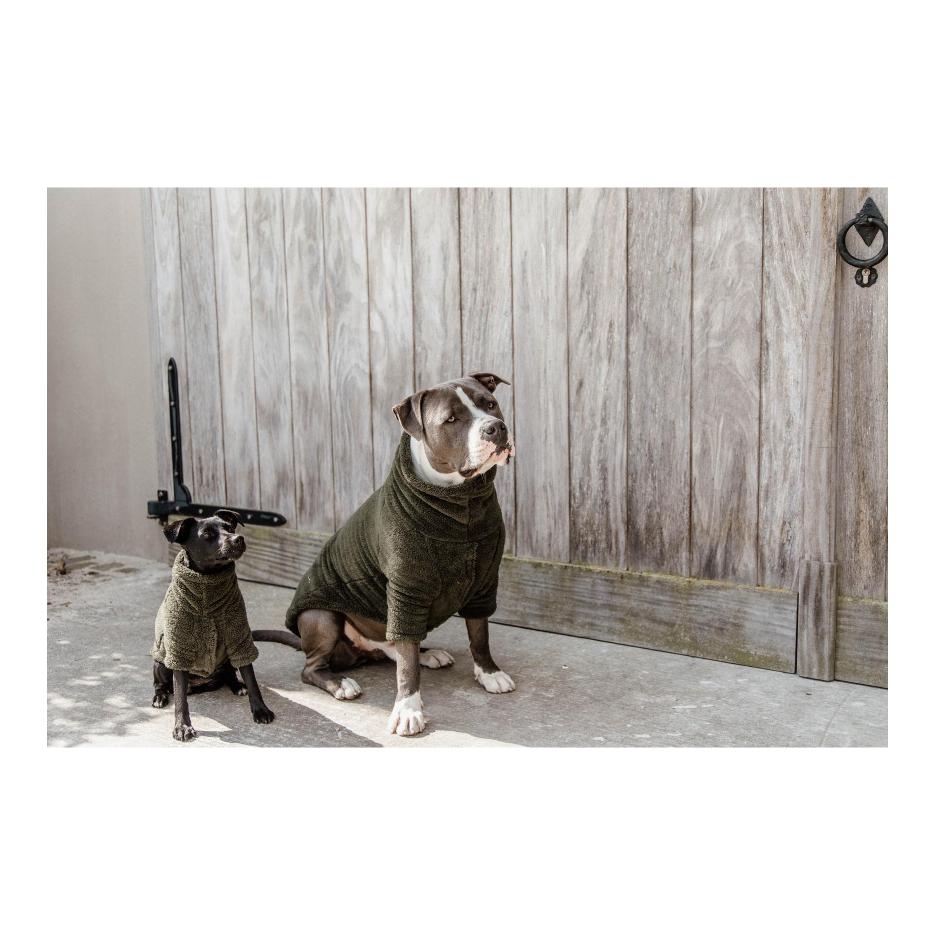 Kentucky Dogwear Pullover pour chien Teddy Fleece - Pine Green