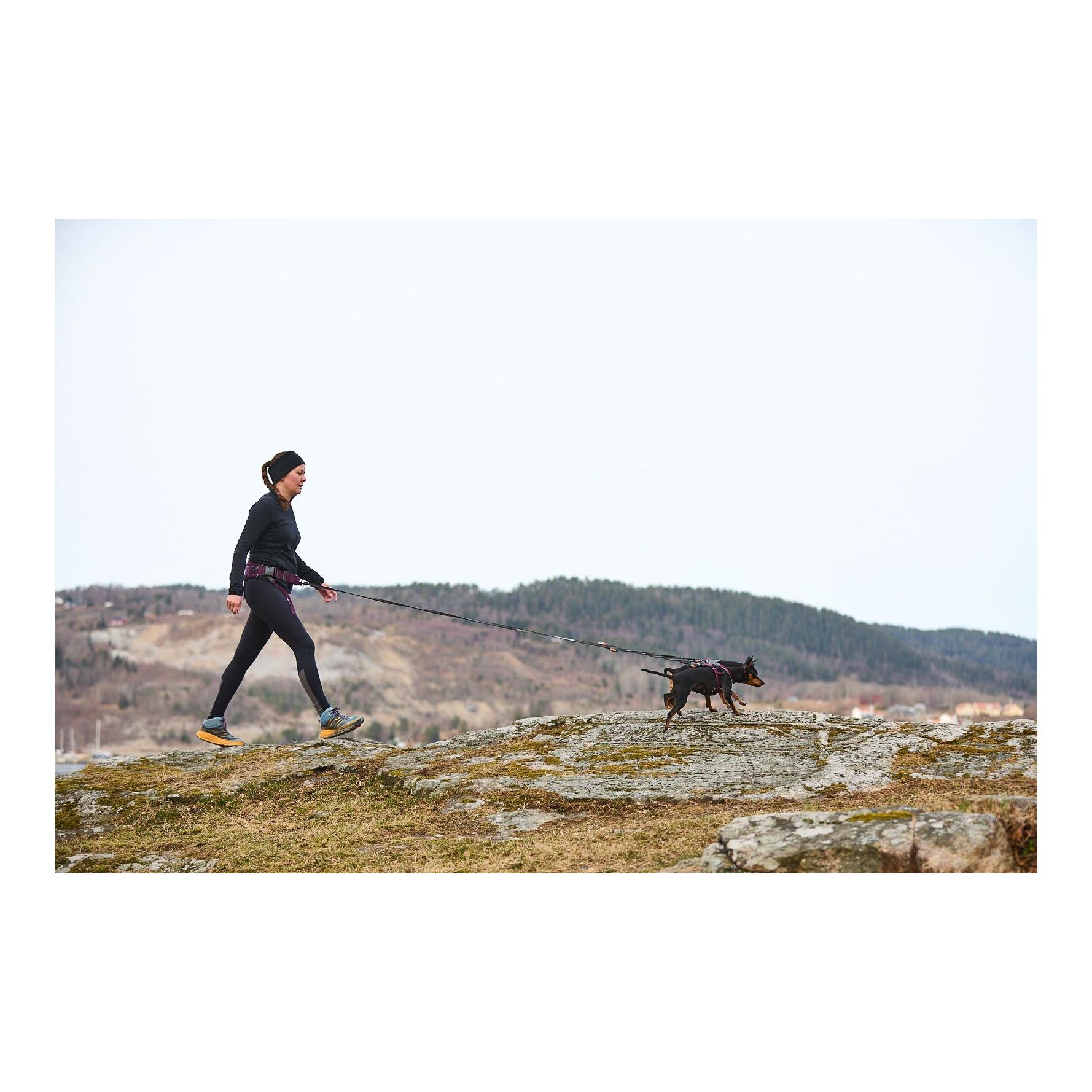 Non-stop Dogwear Ceinture de randonnée 2.0