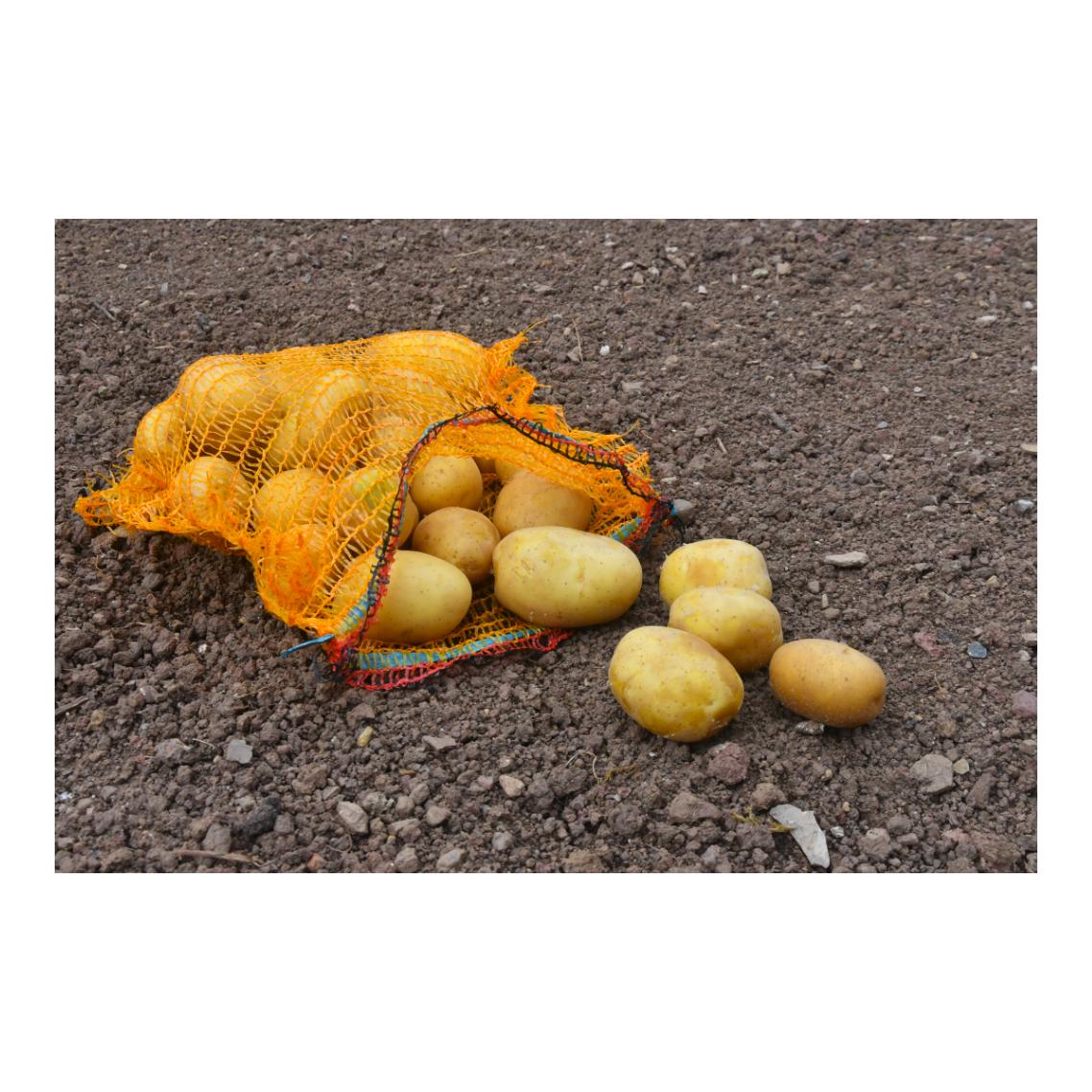 Hauptner Sacs à pommes de terre / sacs à fruits avec lien coulissant - 100 pièces