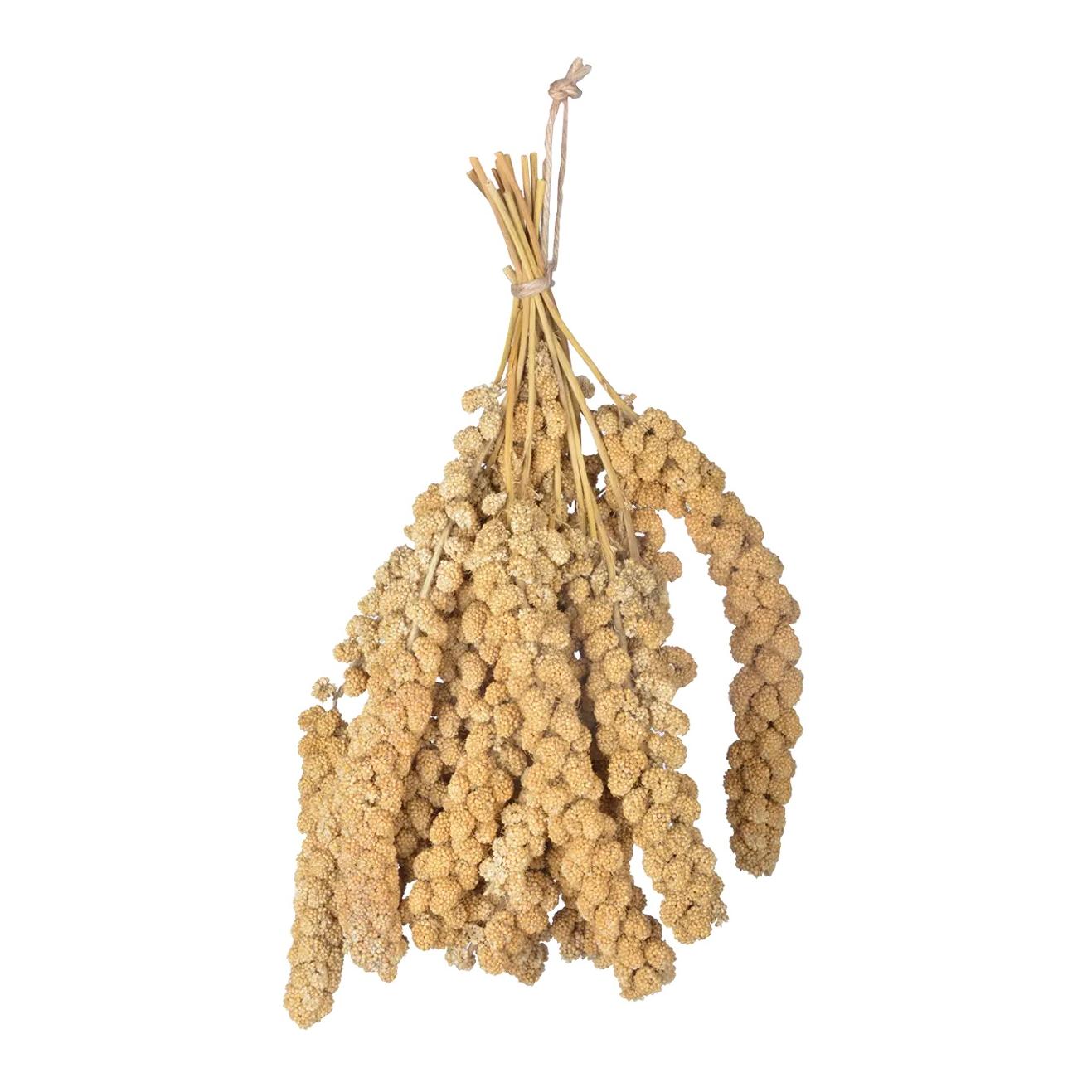 Esschert Hirse Vogelfutter