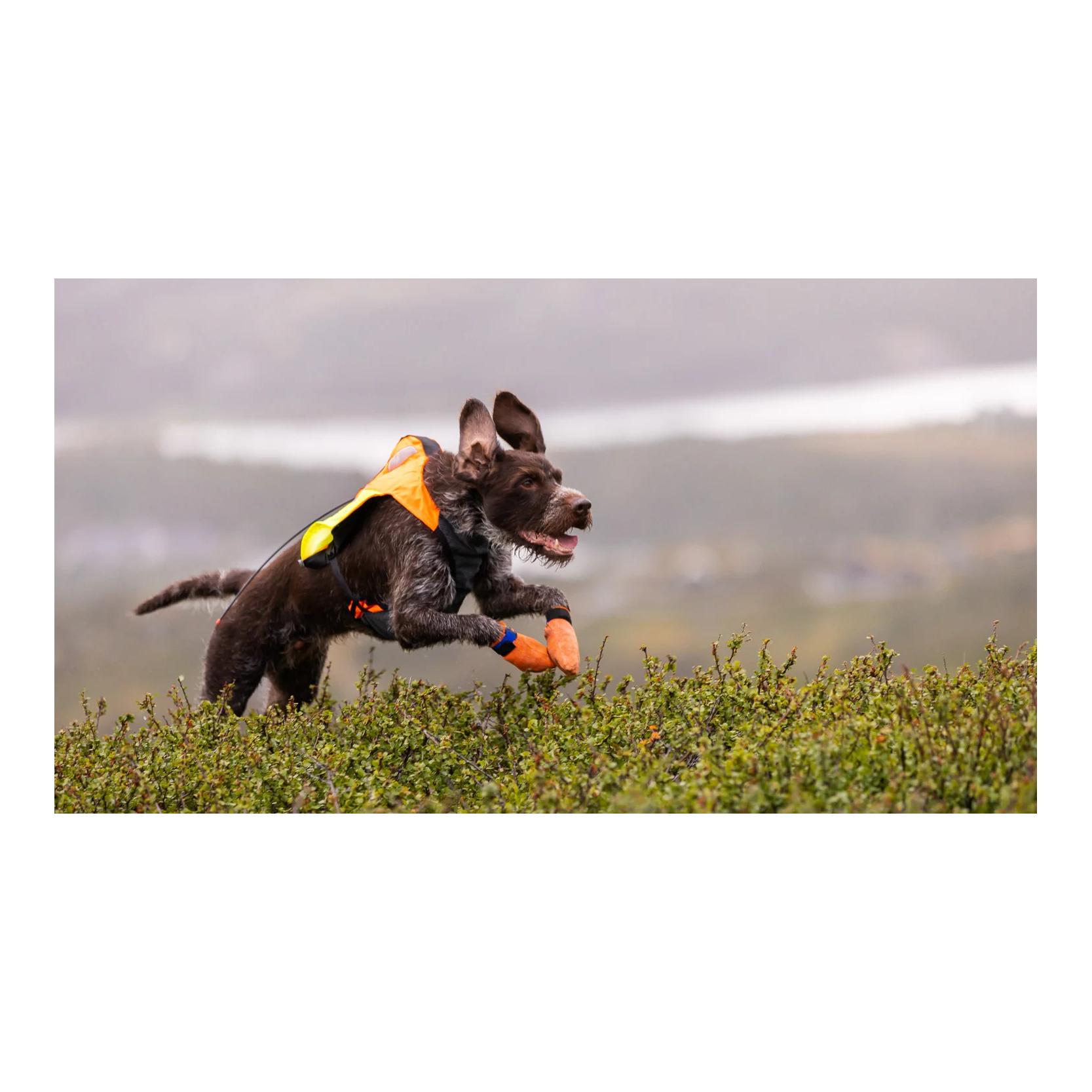Non-stop Dogwear Gilet de protection GPS 2.0