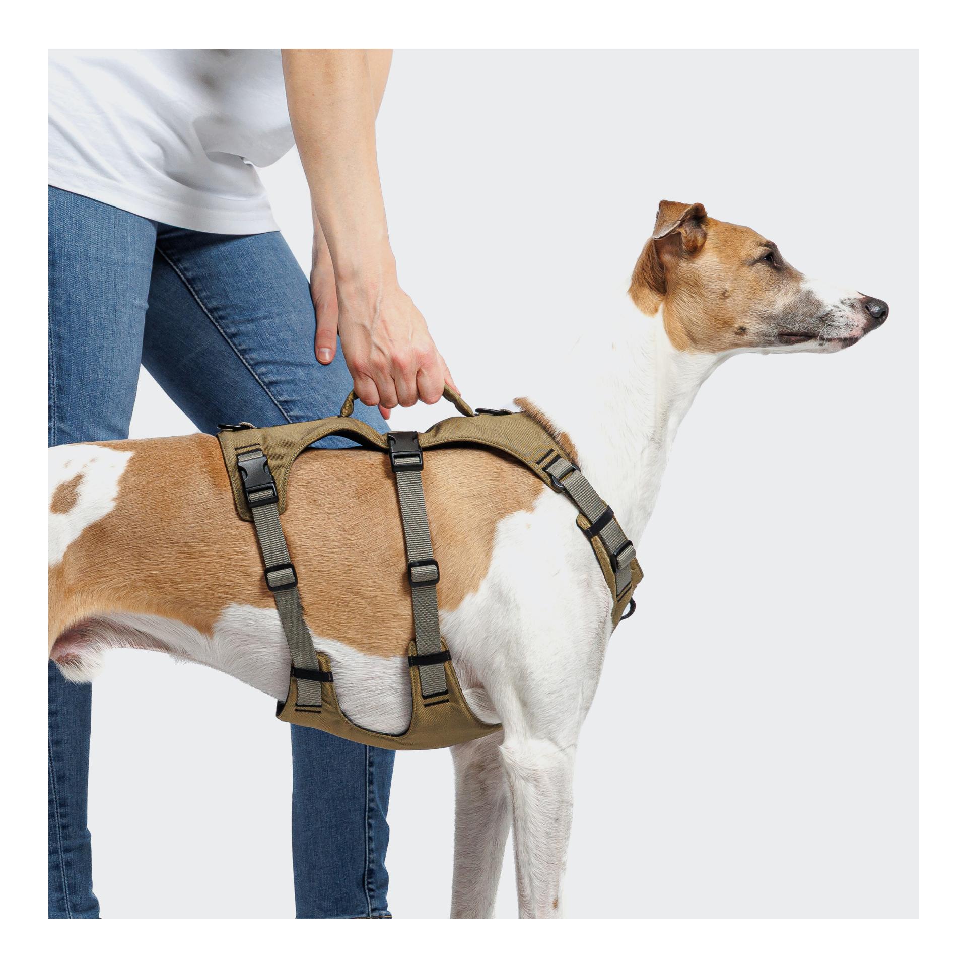 Cloud 7 Y-Safe harnais pour chiens