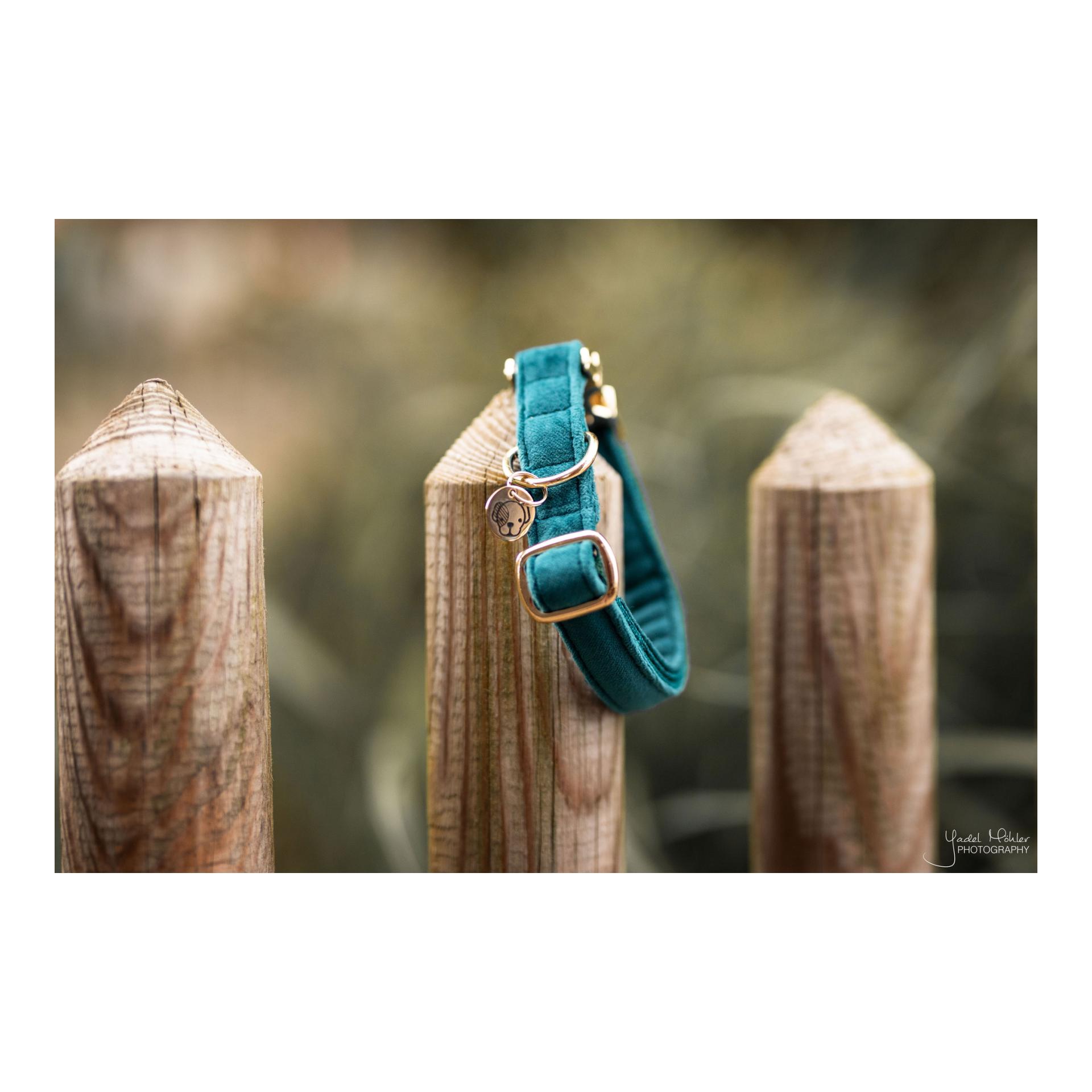 Kentucky Dogwear Hundehalsband Velvet - emerald