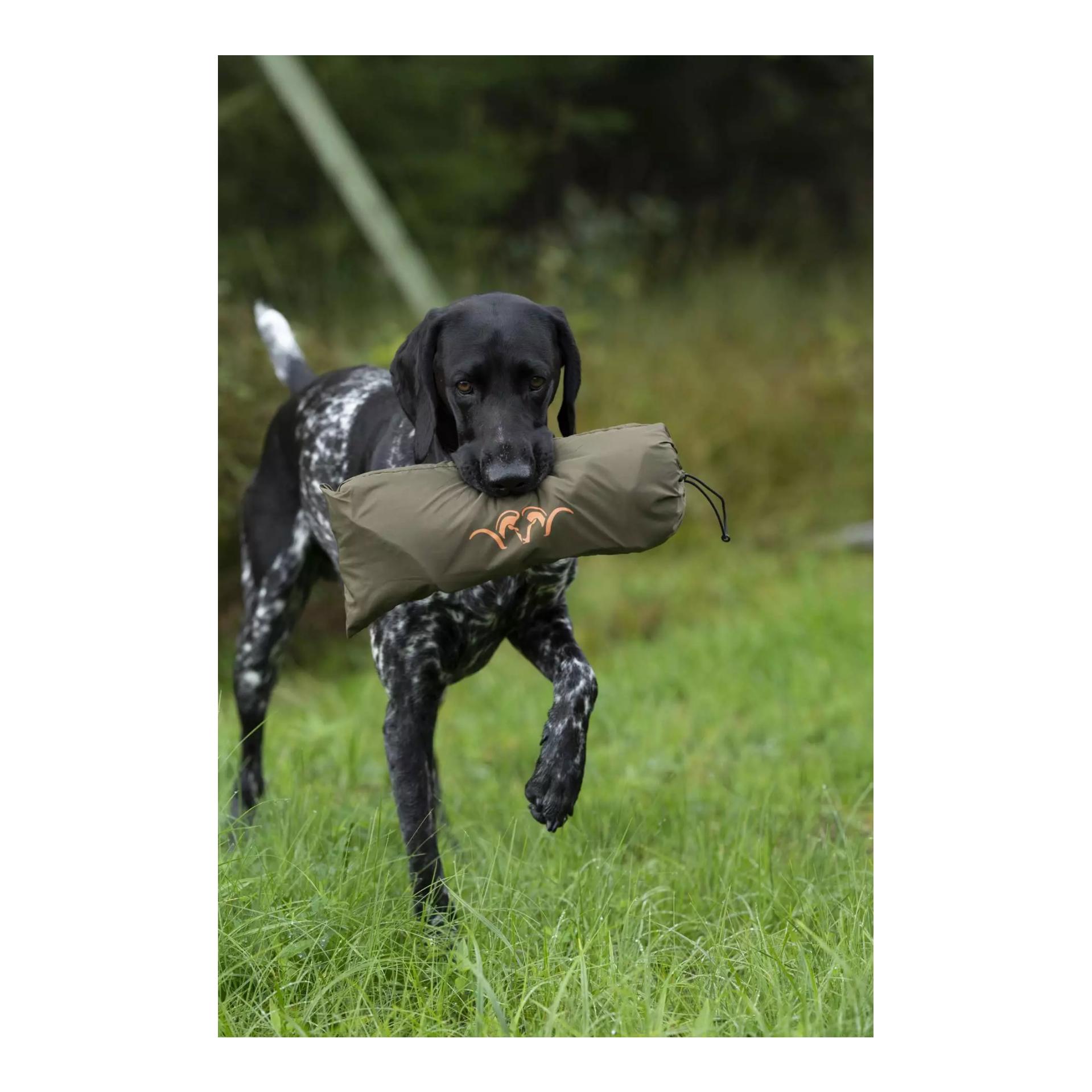 Blaser Hundedecke HunTec Camo