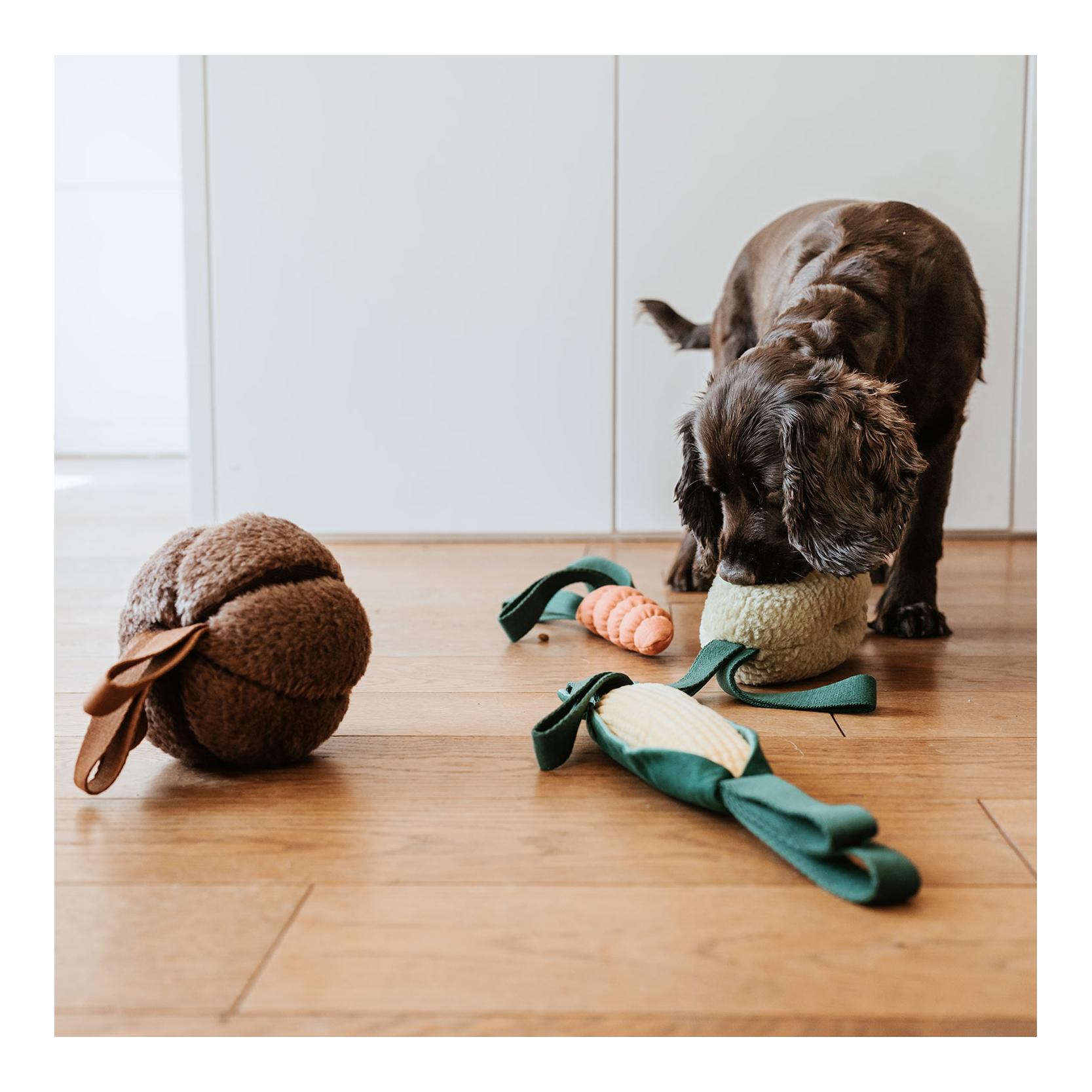 Hunter Jouet pour chiens Venice Oignon